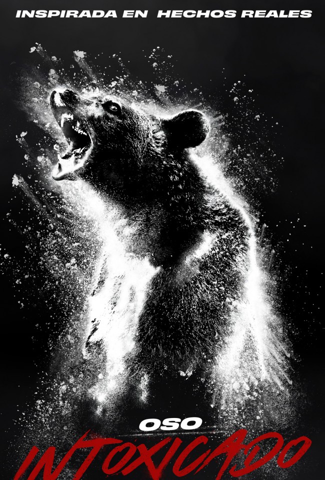 Oso intoxicado 